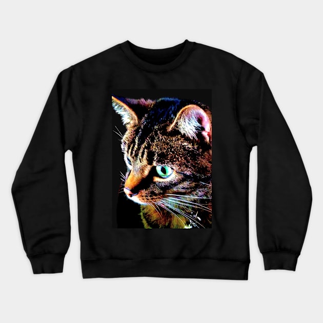 PHILLIP WOODSY Crewneck Sweatshirt by Fat Ralphs Boutique